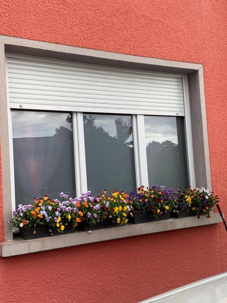 Apartmán Couleur Framboise Longwy Exteriér fotografie