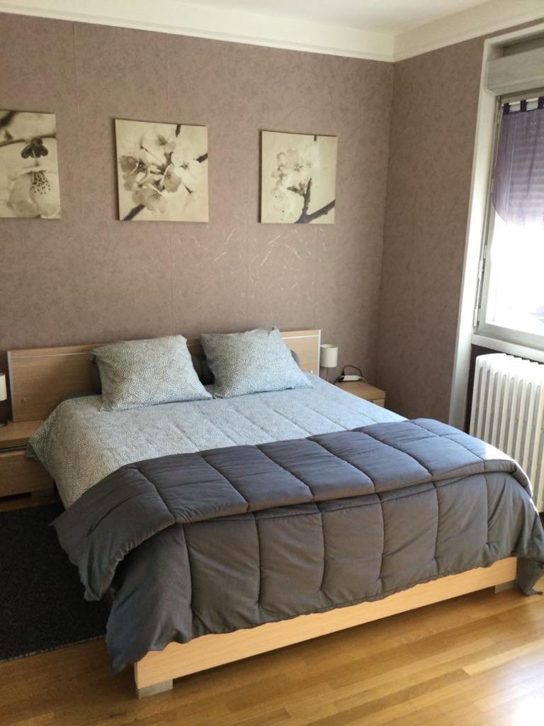 Apartmán Couleur Framboise Longwy Exteriér fotografie